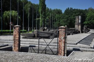 visiter les camps Auschwitz Birkenau