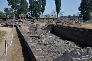 visiter les camps Auschwitz Birkenau