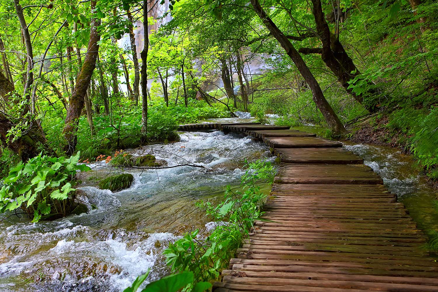 Visiter les lacs de Plitvice