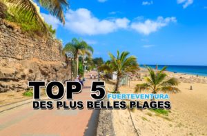 Lire la suite à propos de l’article Top 5 des plus belles plages de Fuerteventura