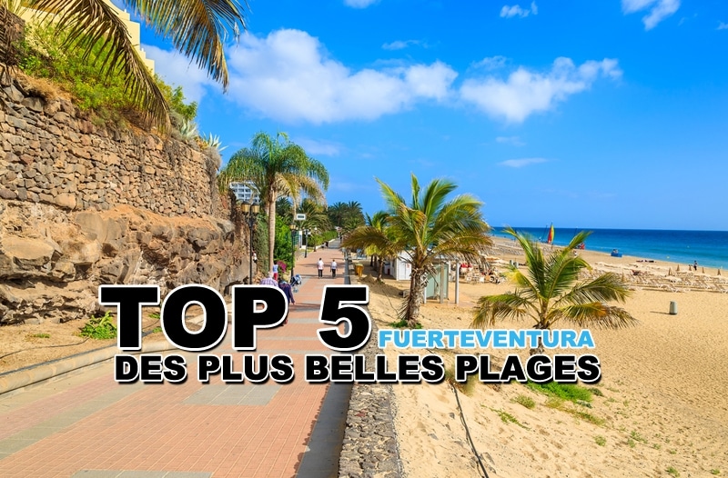 You are currently viewing Top 5 des plus belles plages de Fuerteventura