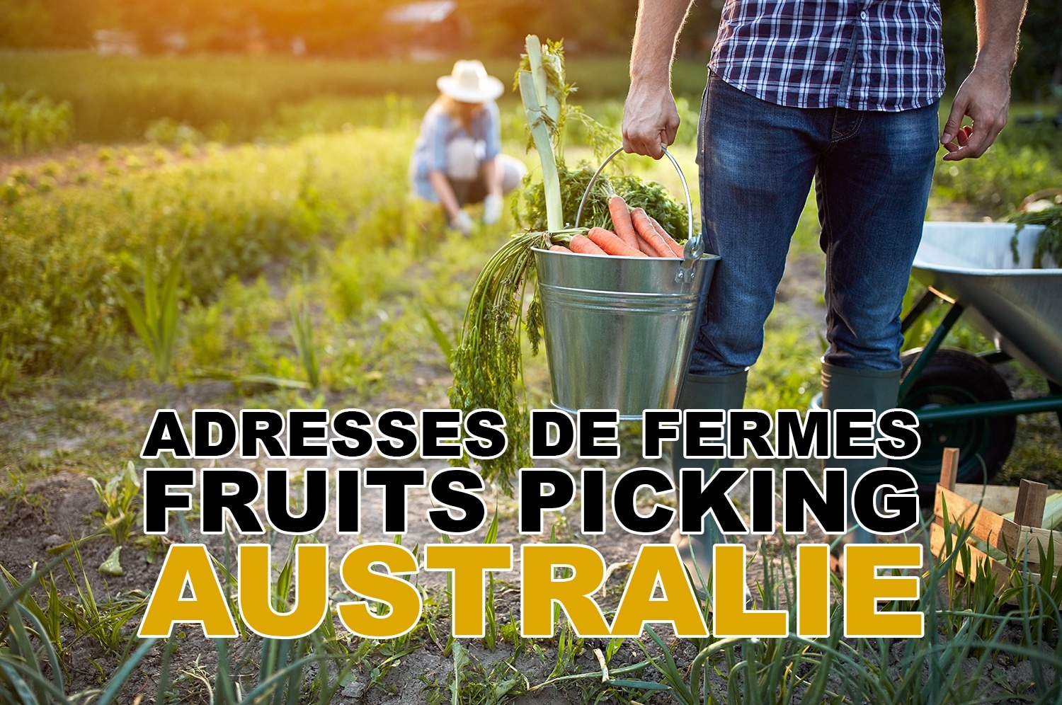 You are currently viewing Adresses de fermes pour le fruits picking en Australie