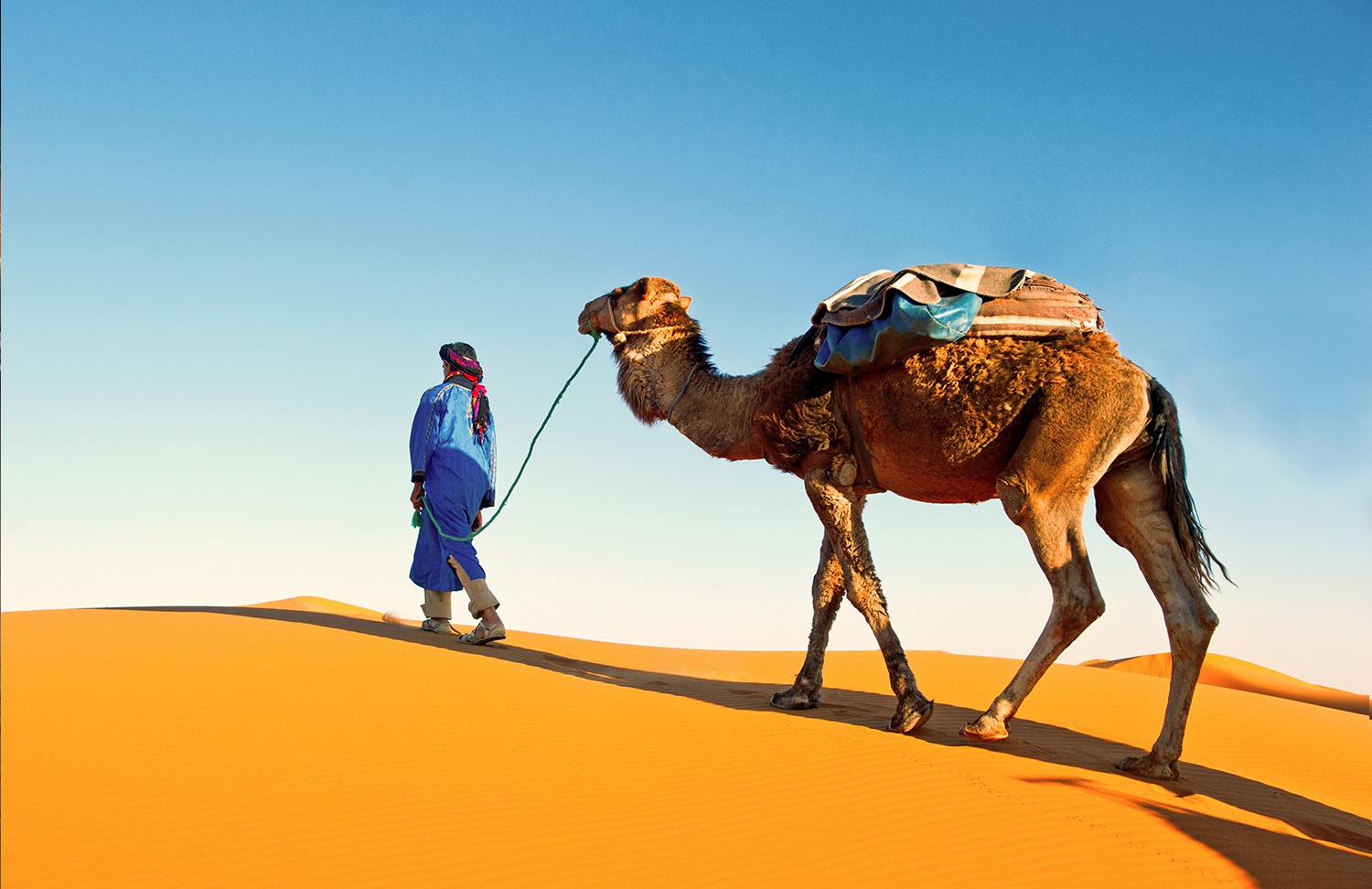 Conseils pour visiter Marrakech et ses alentours - Dromadaire