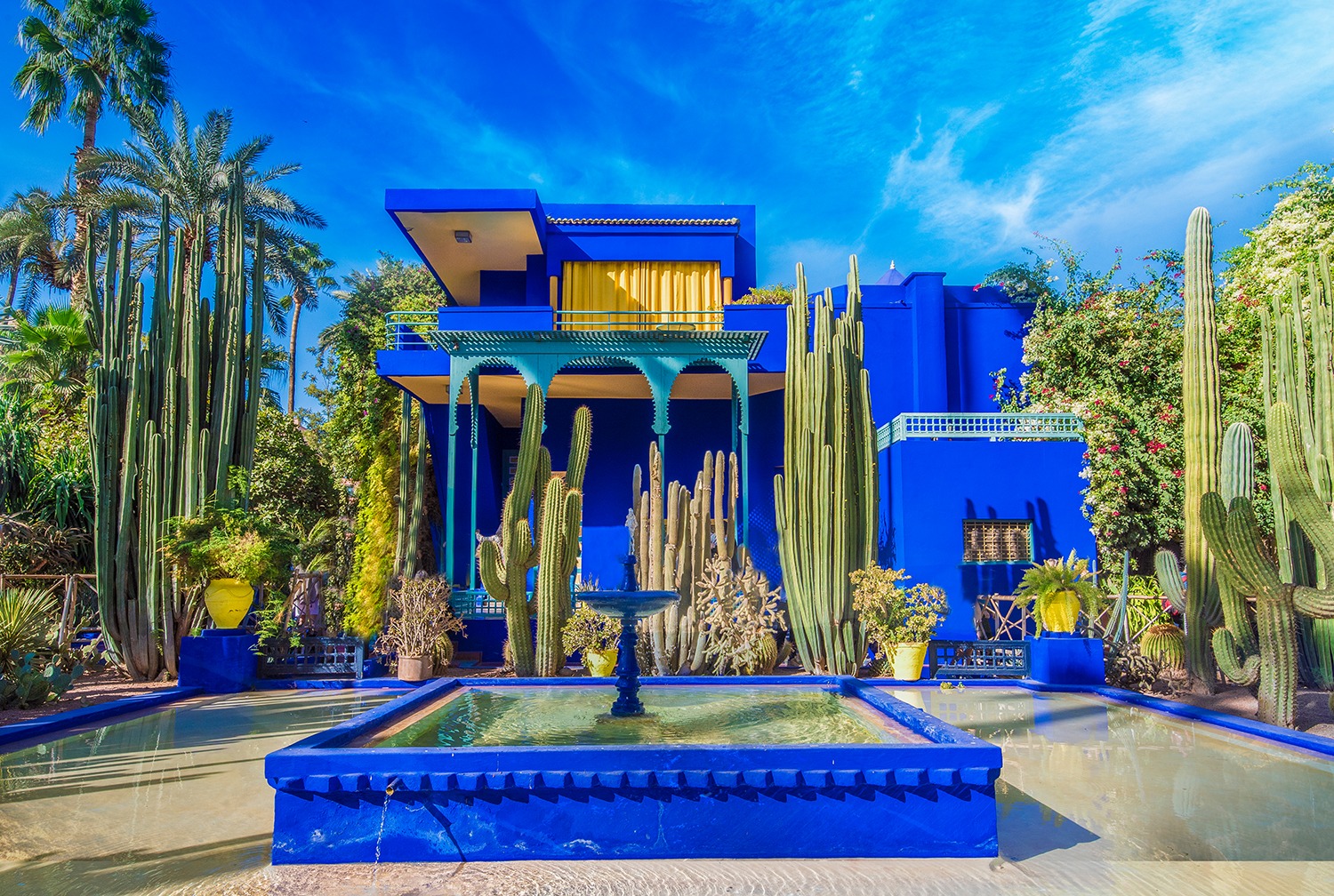 Conseils pour visiter Marrakech et ses alentours - Jardin Majorelle