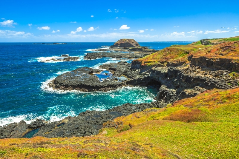 Phillip Island, excursion sur l'île aux pingouins