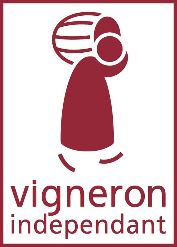 logo FDVI