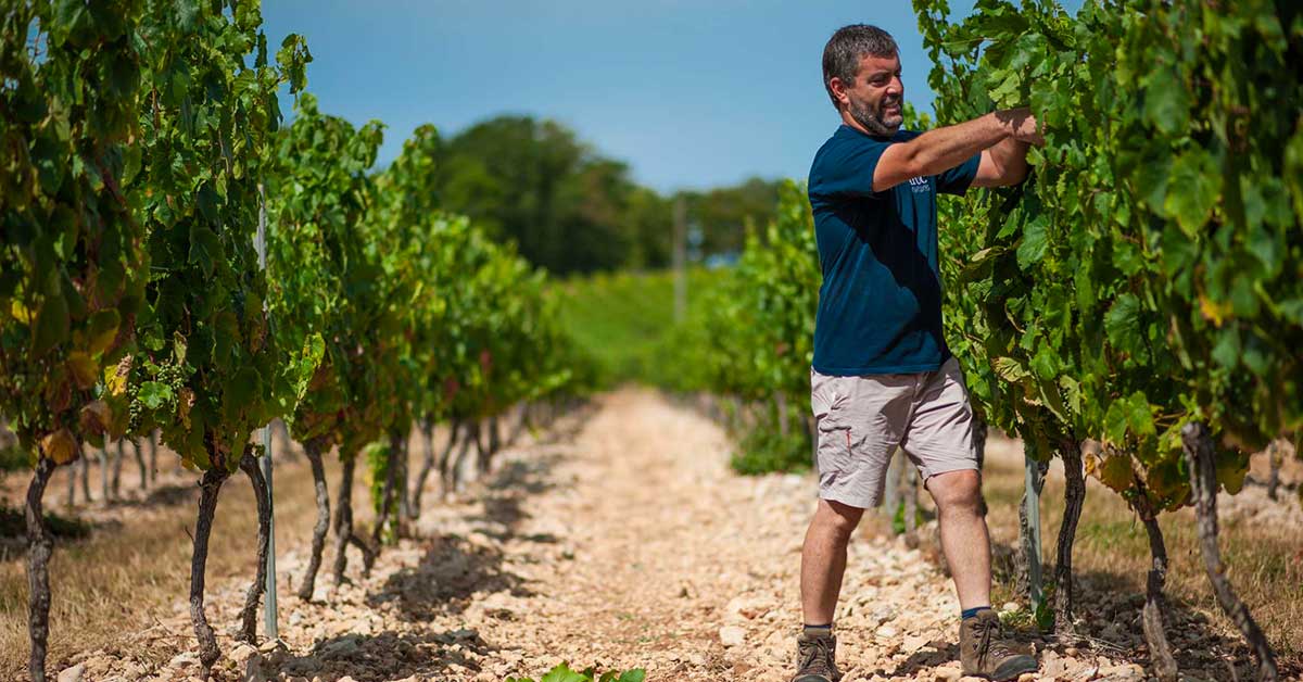 vignerons indépendants du Lot