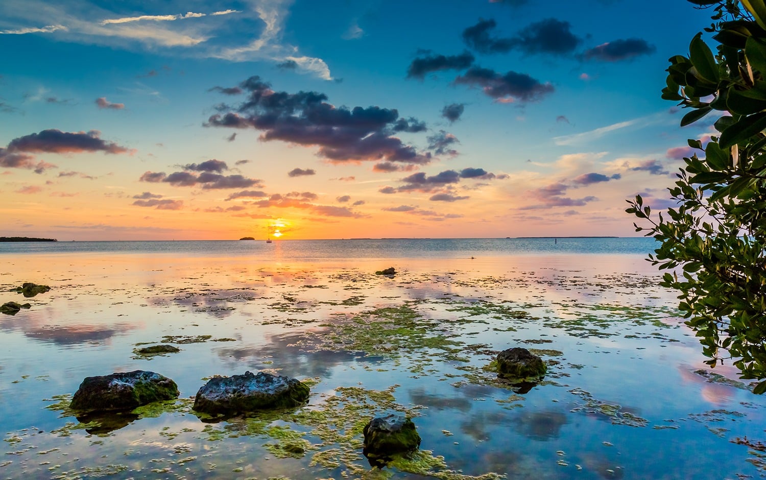 KeyLargo03