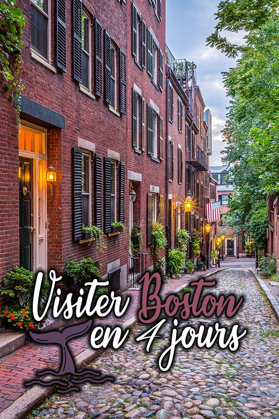 visiter boston pin