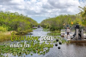 Lire la suite à propos de l’article Conseils pour faire une excursion pour visiter les Everglades