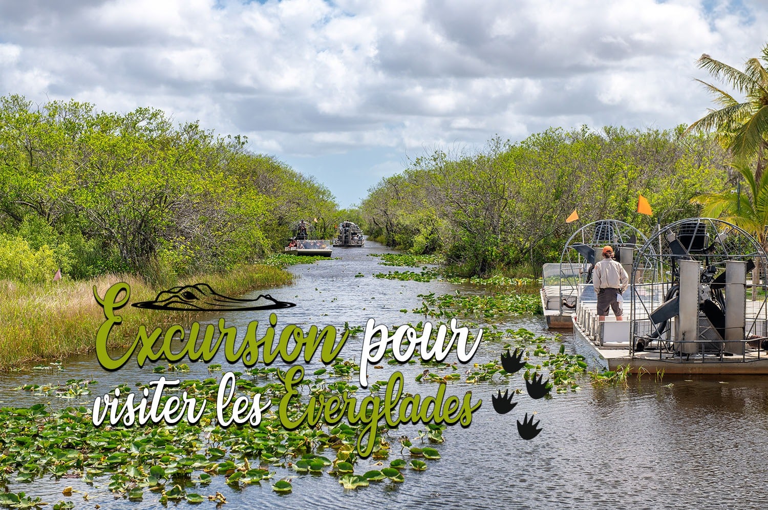 You are currently viewing Conseils pour faire une excursion pour visiter les Everglades