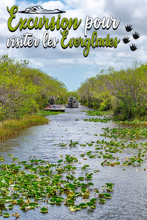 excursion pour visiter les Everglades