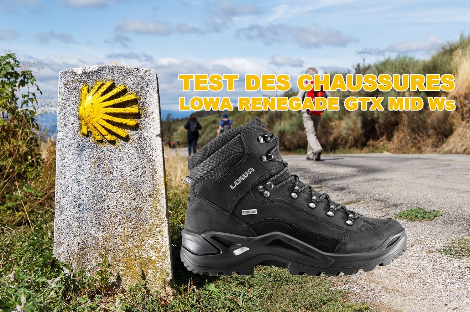 You are currently viewing Test des chaussures Lowa Renegade pour femmes