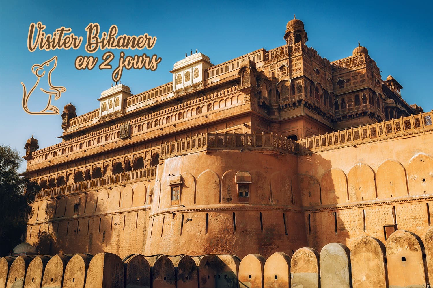 You are currently viewing Conseils pour visiter Bikaner en 2 jours