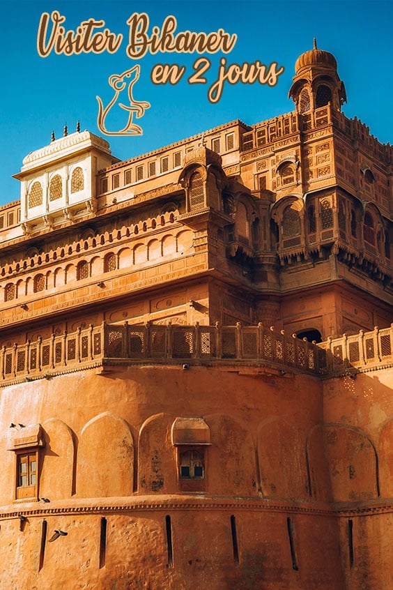 visiter Bikaner pin