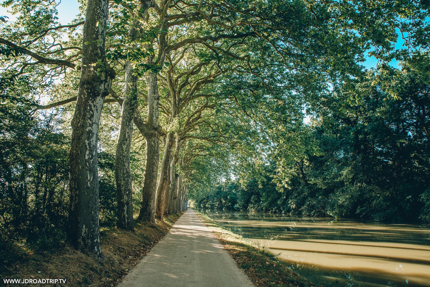 Canal du Midi à vélo