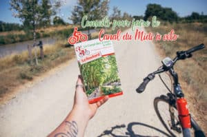 Lire la suite à propos de l’article Conseils pour faire le Canal du Midi à vélo en 6 jours