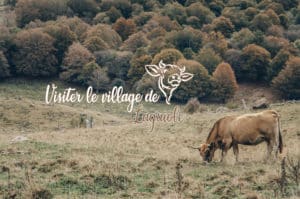 Lire la suite à propos de l’article Visiter Laguiole : Quoi visiter, où manger, où dormir ?