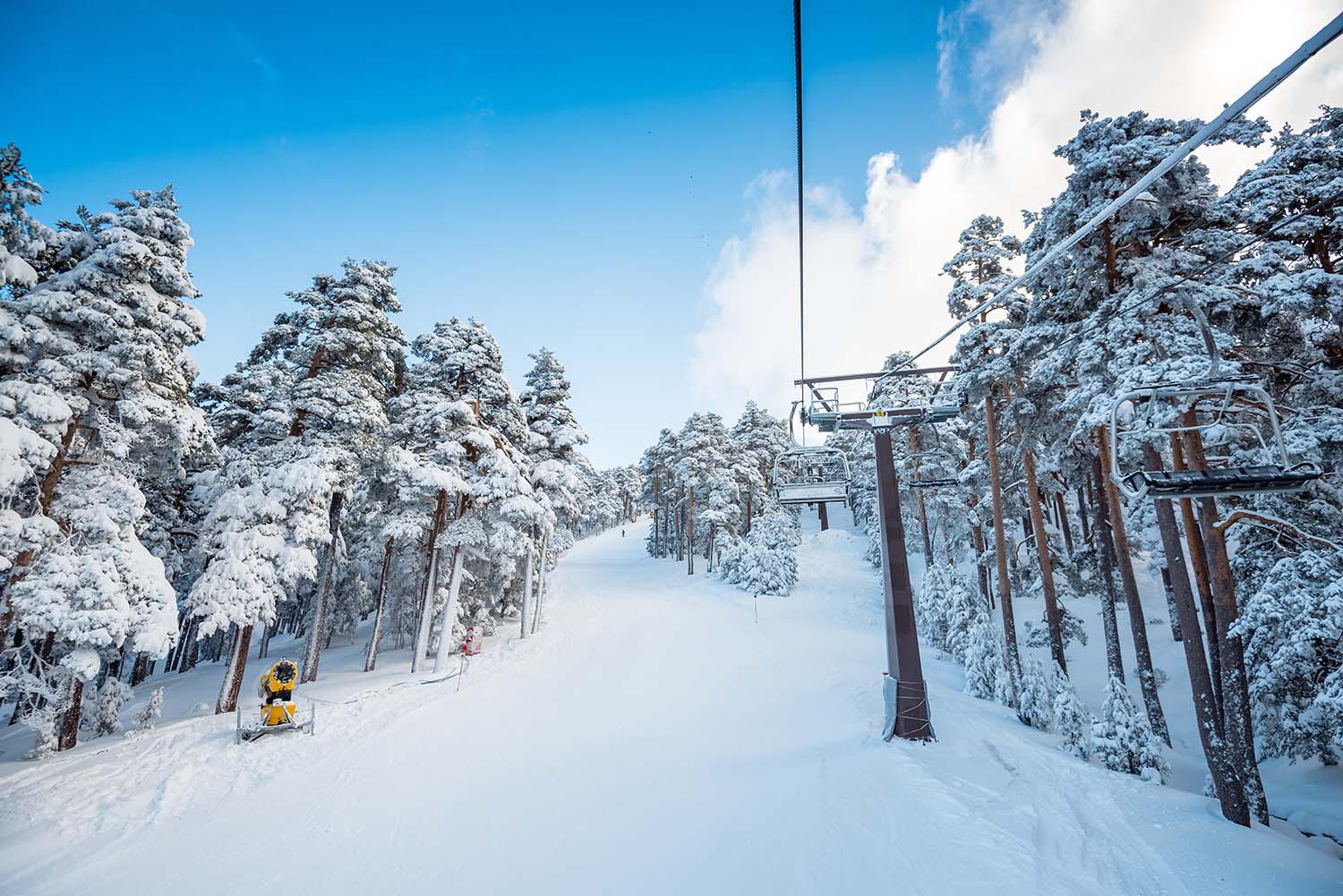 Visiter Madrid Navacerrada