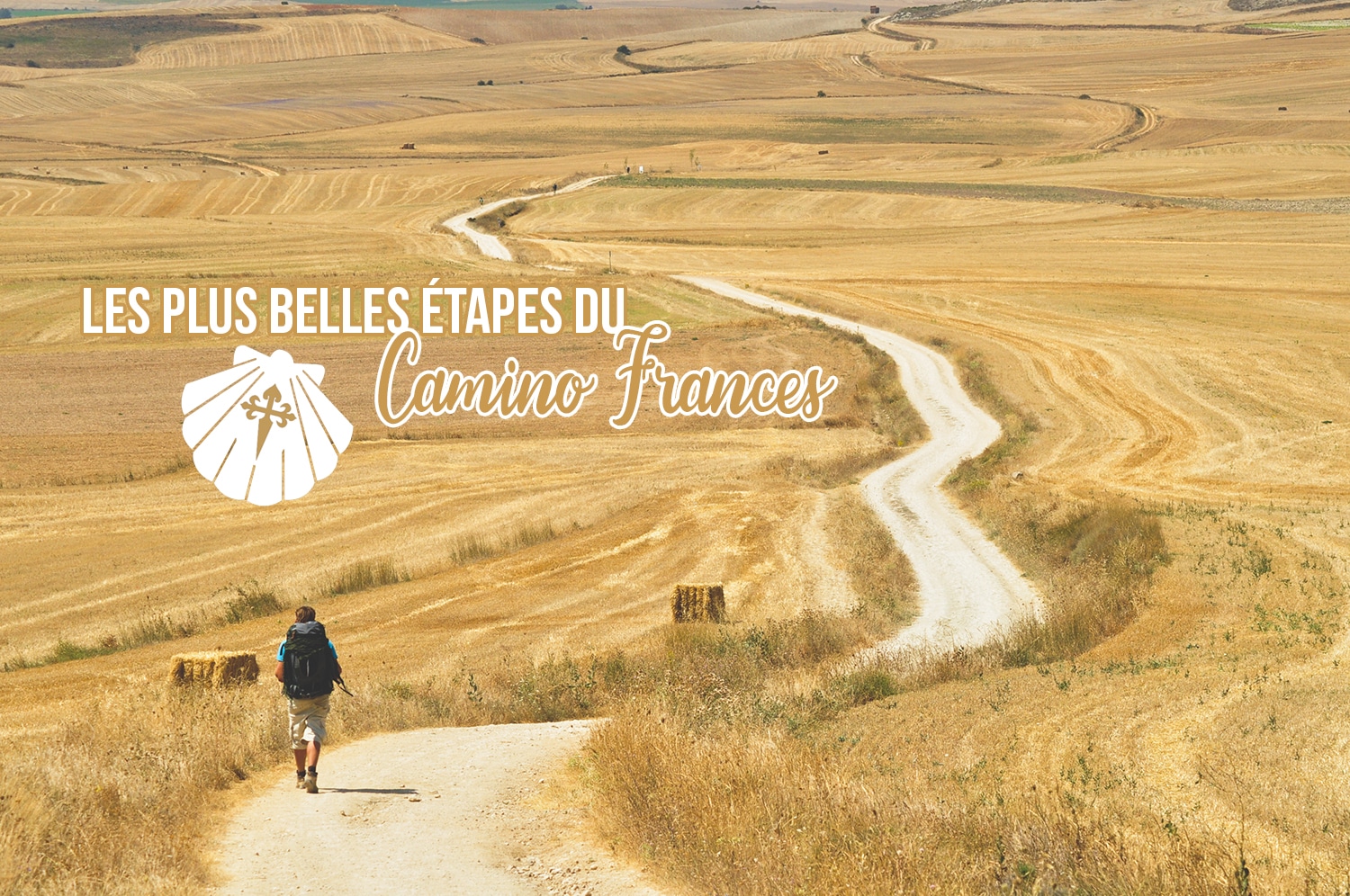 You are currently viewing Les plus belles étapes du Camino Frances