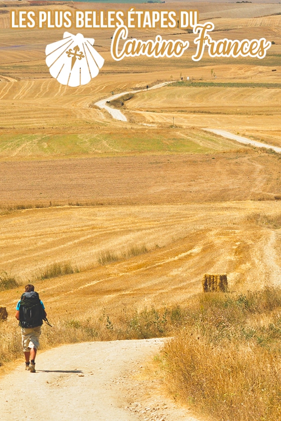 Camino frances compostelle pin