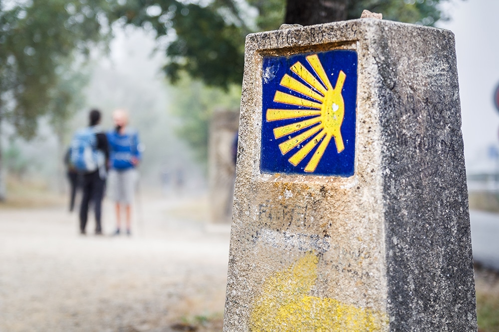 Chemin de Compostelle - Symbole flèche jaune et coquille