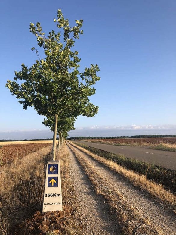 Camino frances - Mesetta
