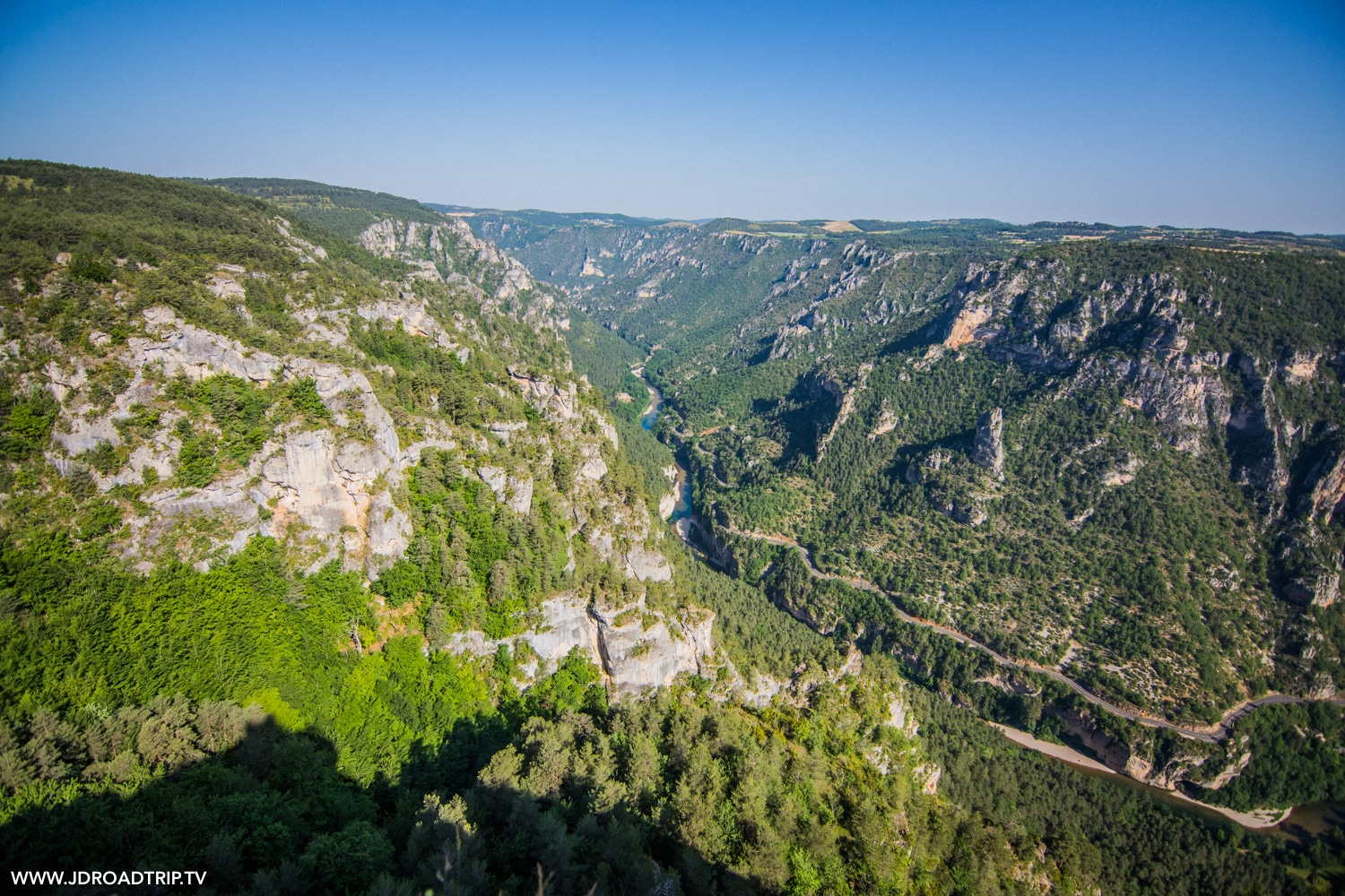 Que voir en Lozère : Observer les vautours