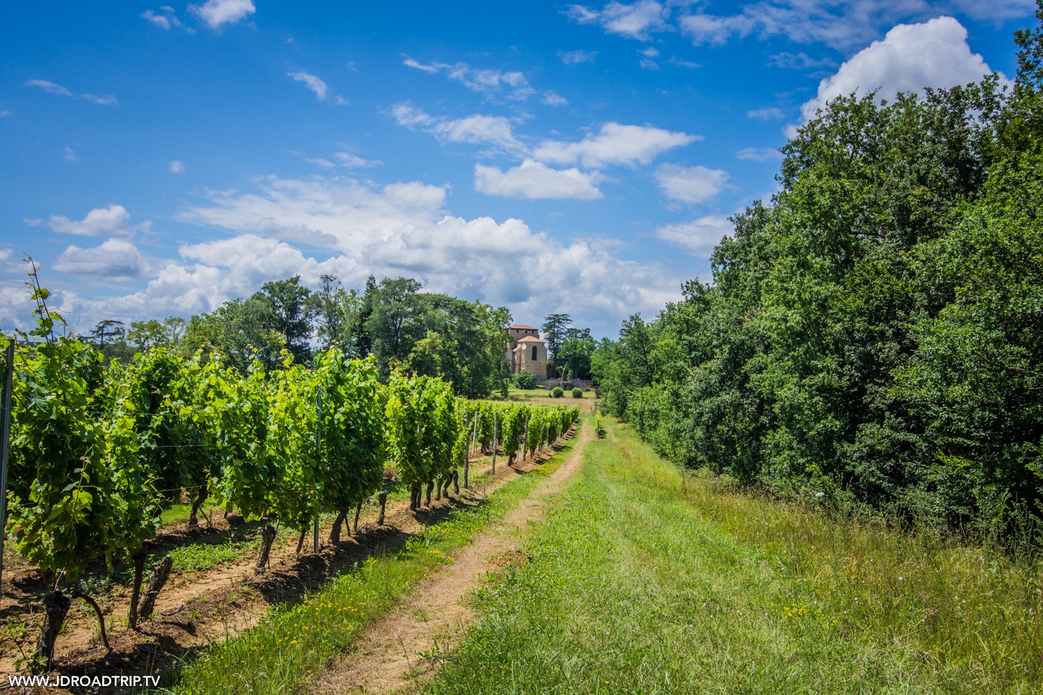 Que faire dans le Gers - Vigne de Saint-Mont