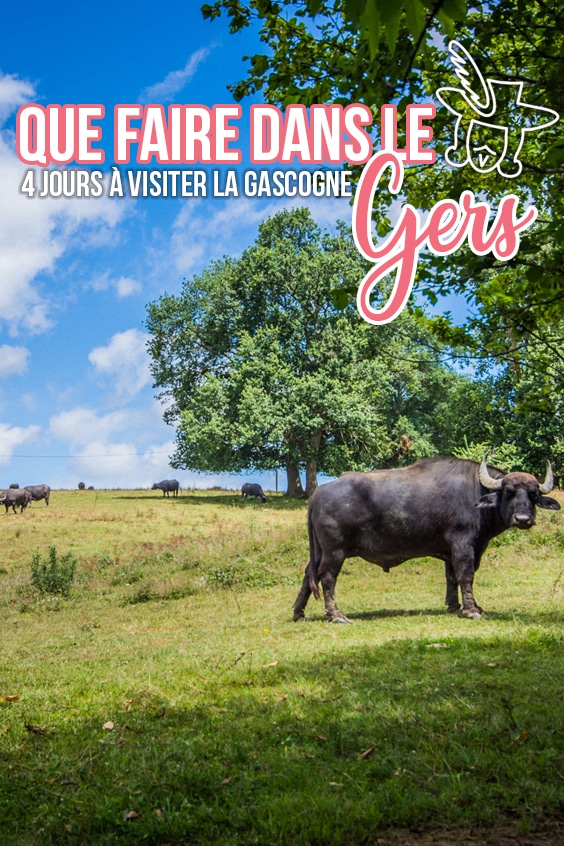 Que faire dans le Gers pin