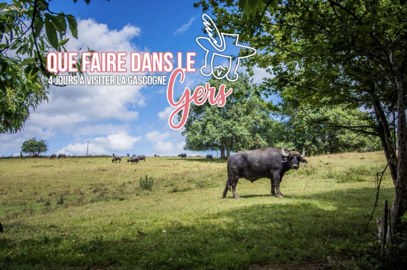 Que faire dans le Gers : 4 jours à visiter le cœur du Sud-Ouest