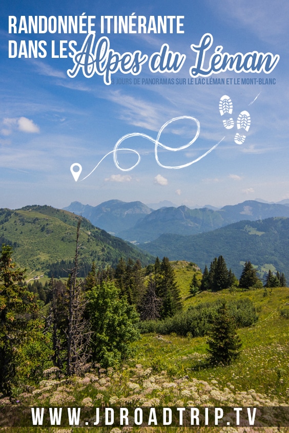 Randonnee itinerante Alpes du Leman pin