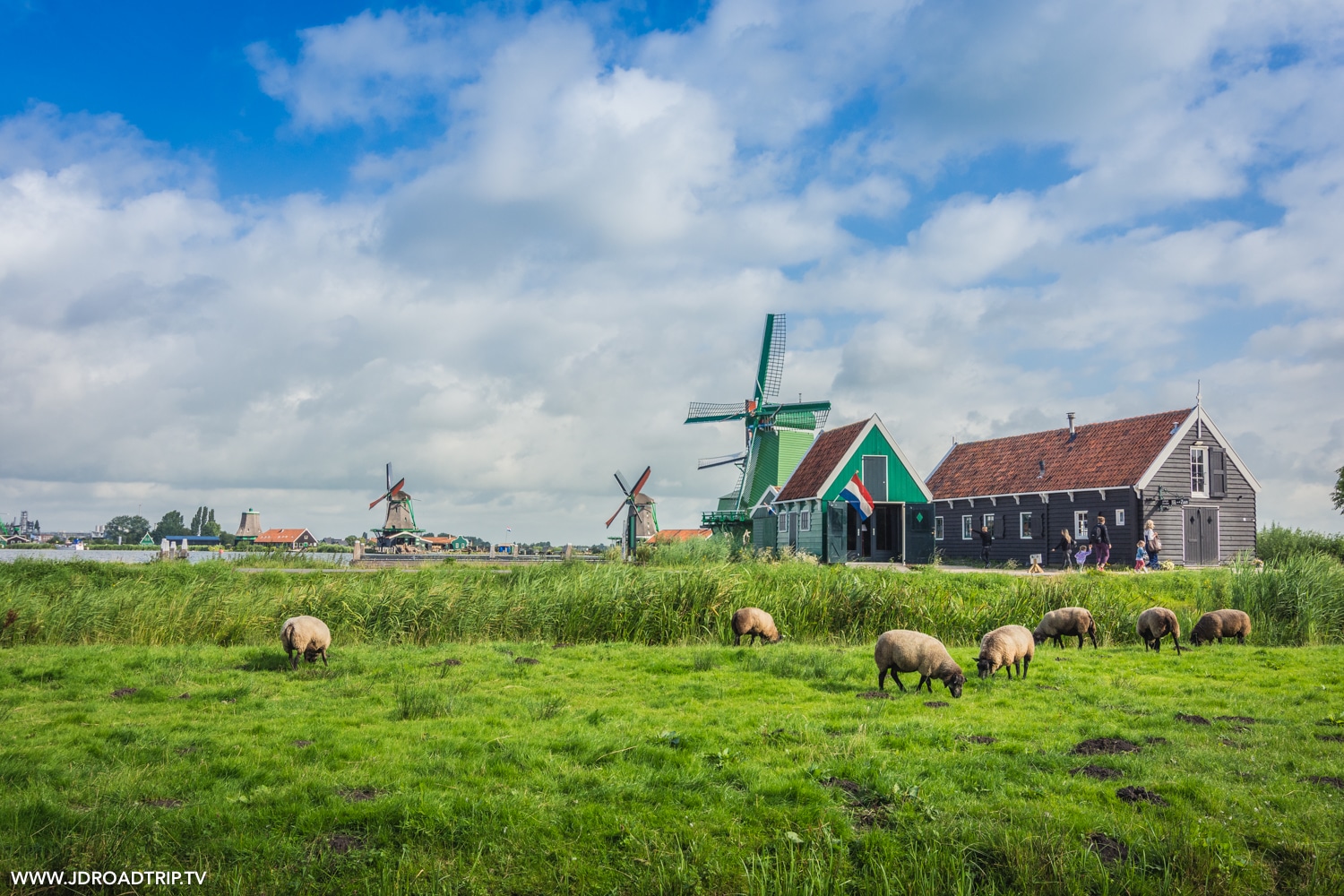 Visiter les moulins de Zaanse Schans - Moulins