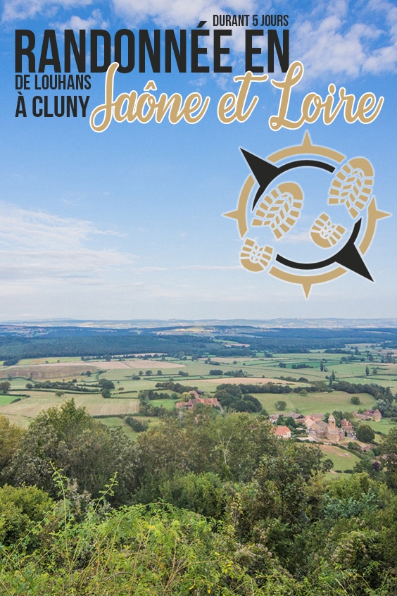 Randonnee saone et loire pin