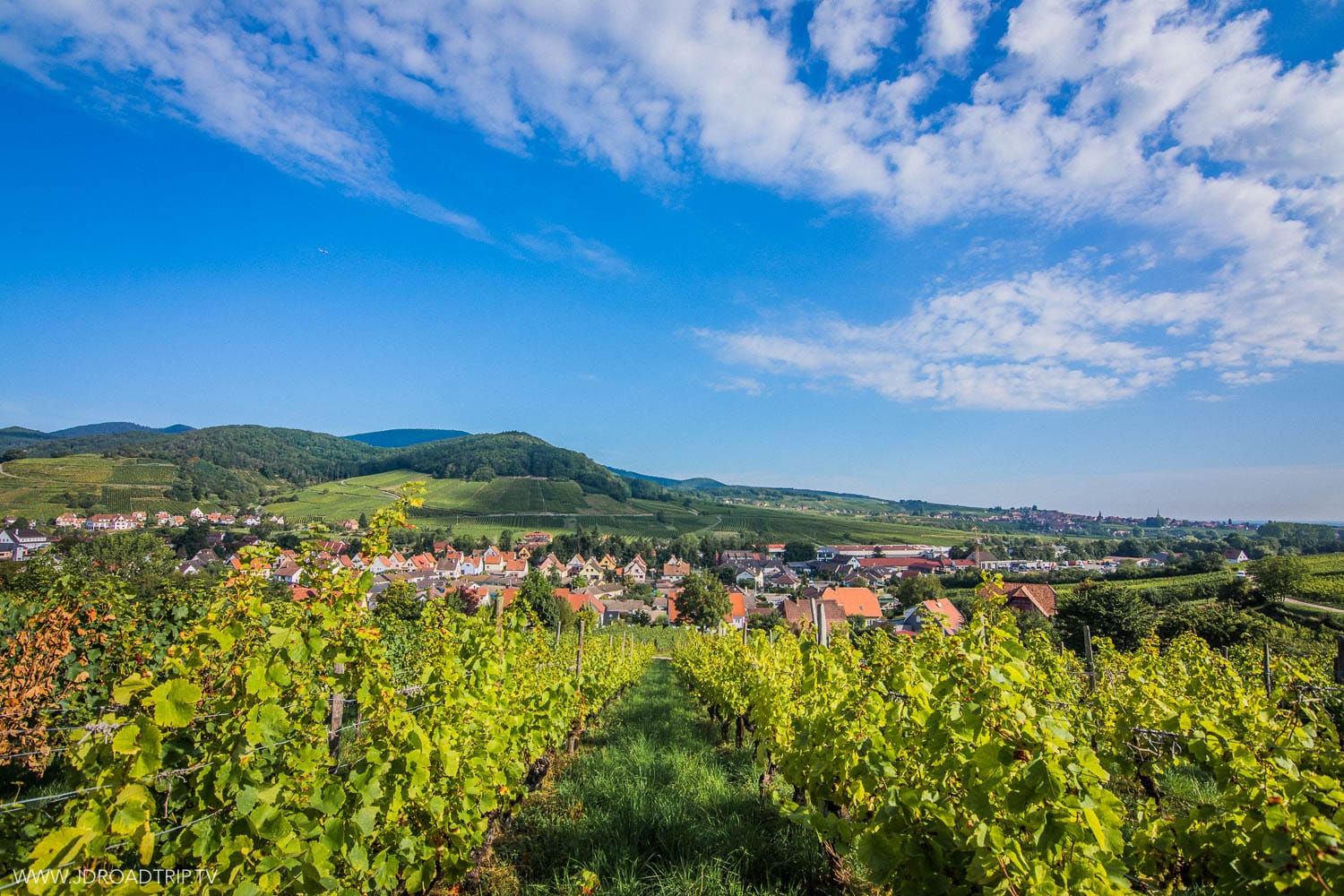 Alsace à vélo - Ribeauvillé