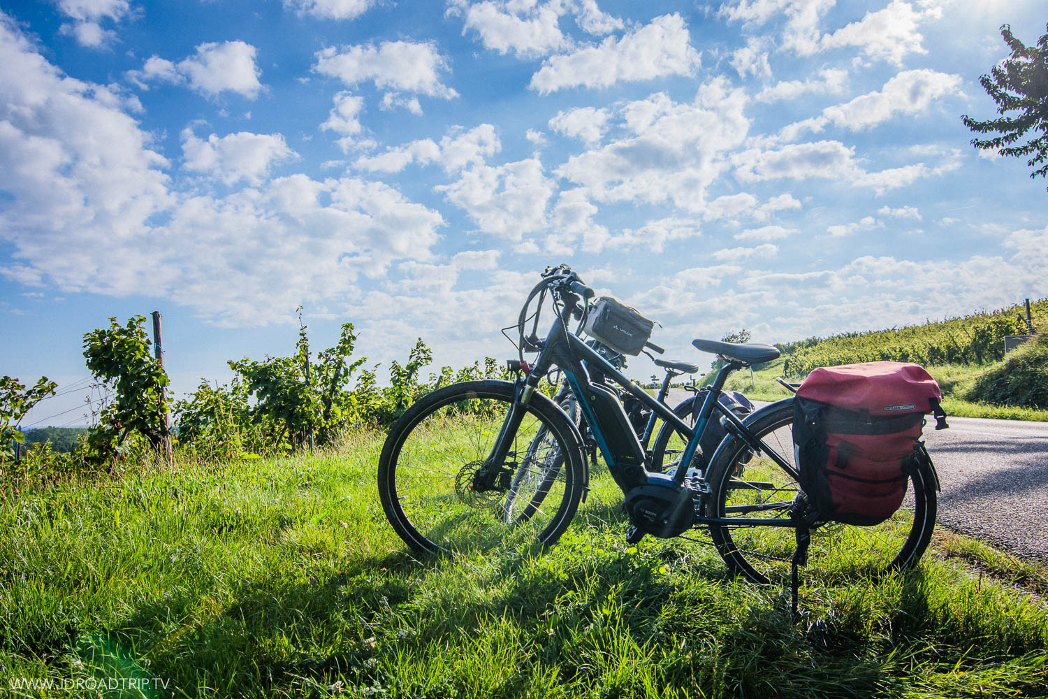 Alsace à vélo - Location vélo Trace Verte