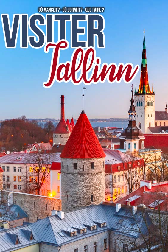 visiter tallinn pin