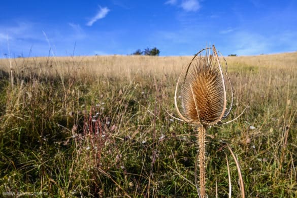 Les randonnées à faire dans la Drôme Provençale - Montagne de Miélandre