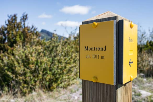 Sommet Le Montrond