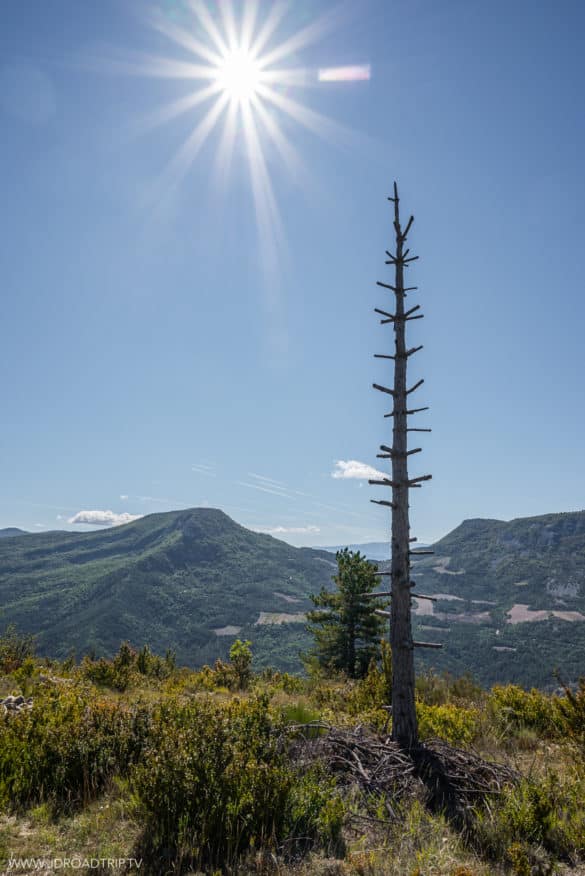 Les randonnées à faire dans la Drôme Provençale - Le Montrond