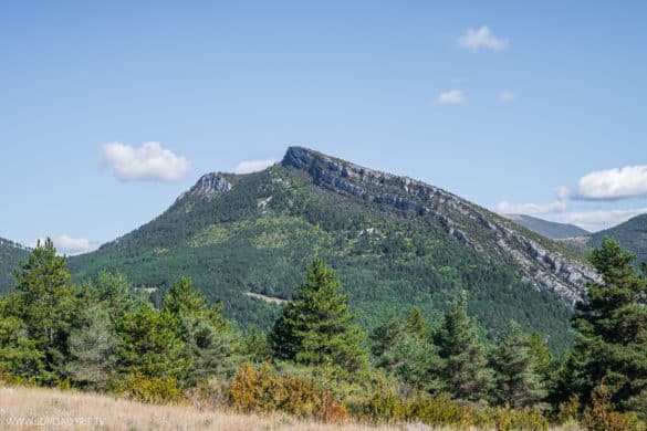 Les randonnées à faire dans la Drôme Provençale - Le Montrond