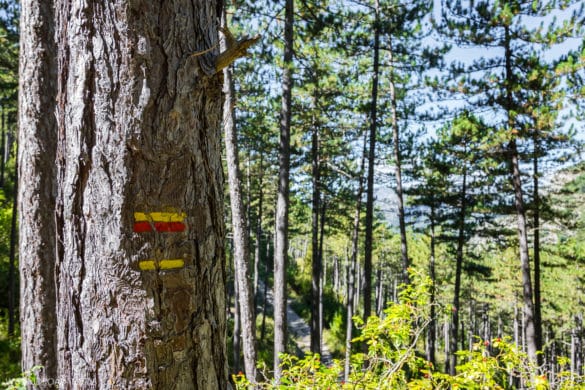 Les randonnées à faire dans la Drôme Provençale - Le Montrond