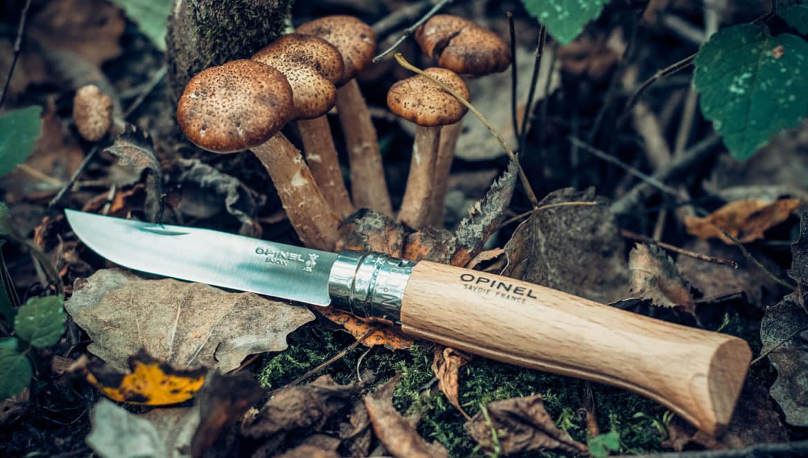 opinel
