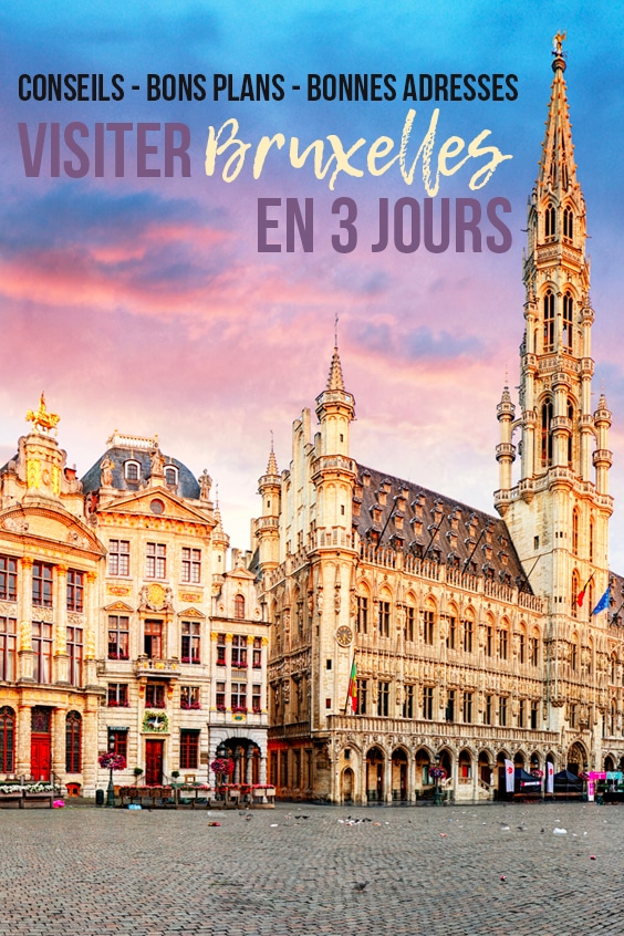 visiter bruxelles pin
