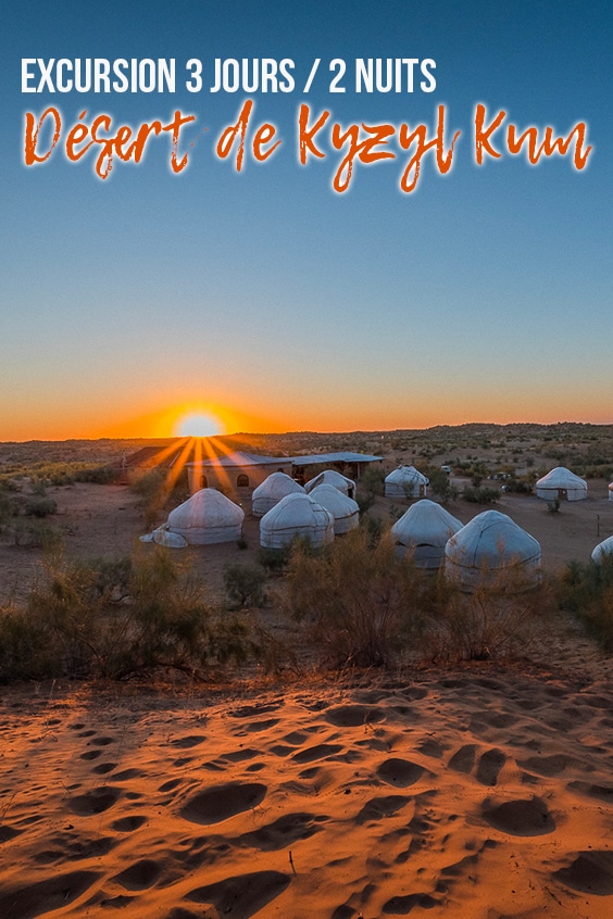 desert kyzyl kum pin