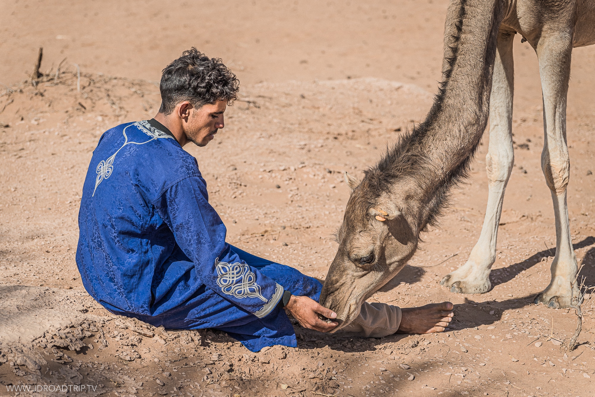 Jour 5 - Trek dans le désert du Sahara marocain