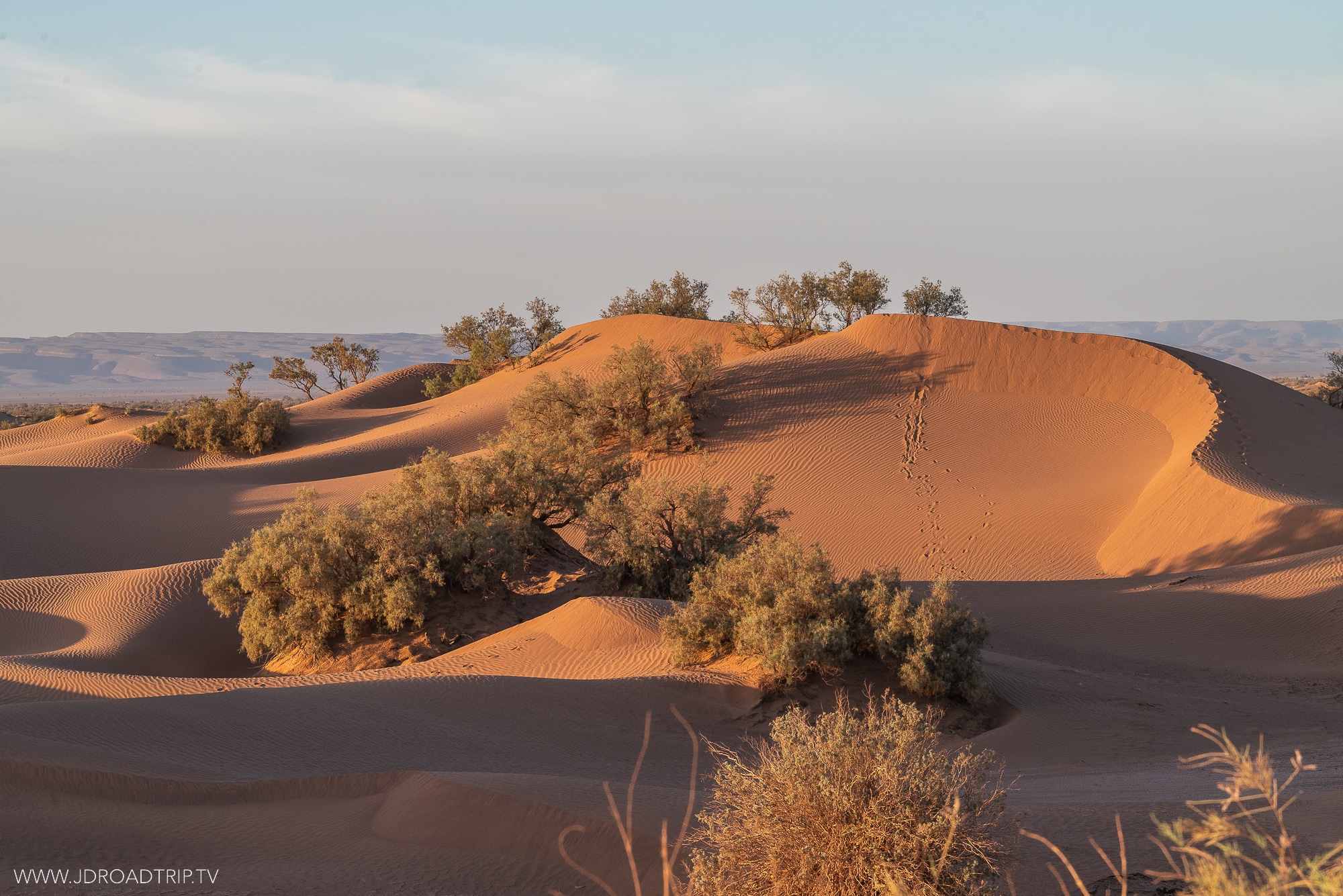 Jour 2 - Trek dans le désert du Sahara marocain