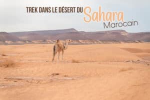 Lire la suite à propos de l’article Trek dans le désert du Sahara marocain