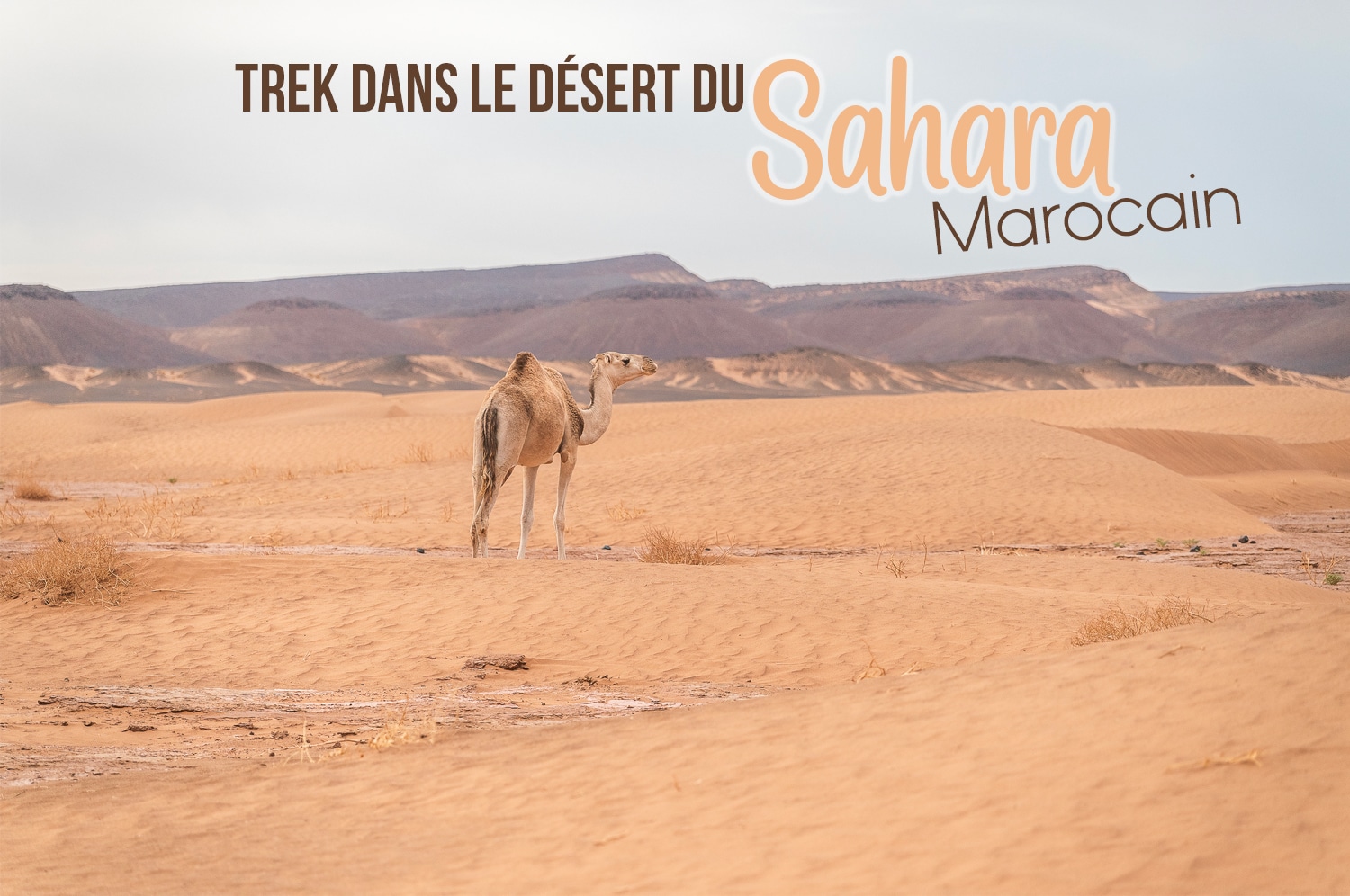 You are currently viewing Trek dans le désert du Sahara marocain