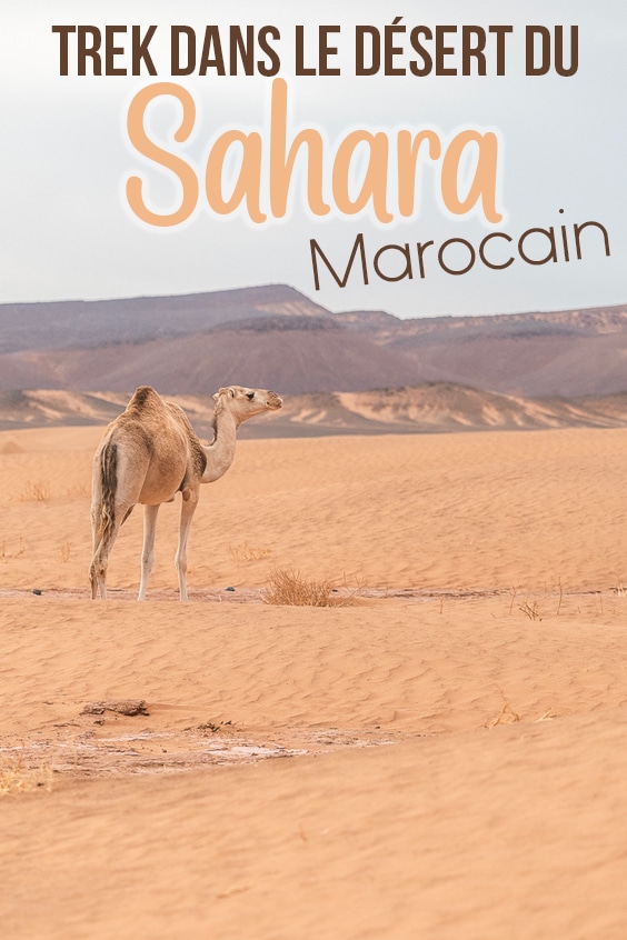 trek desert du sahara marocain pin